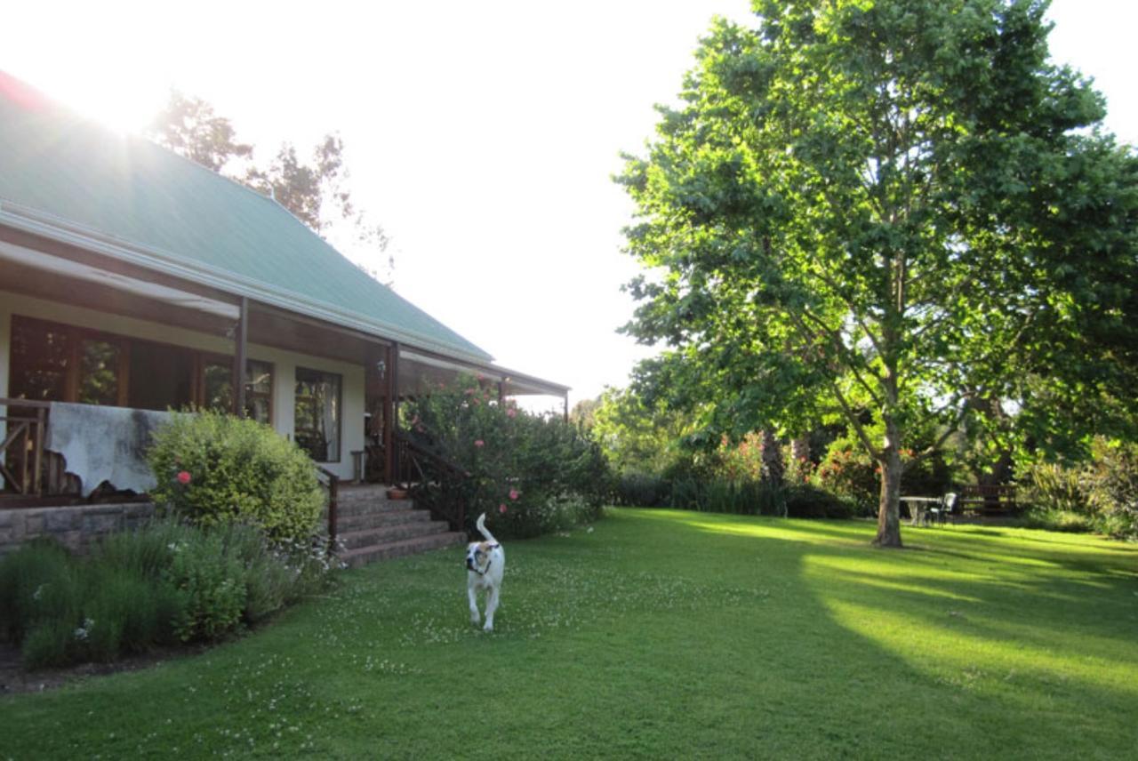 Forest Glen Bed & Breakfast Knysna Exterior photo